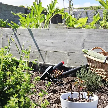 Casas Da Chamine Eco Country Landsted