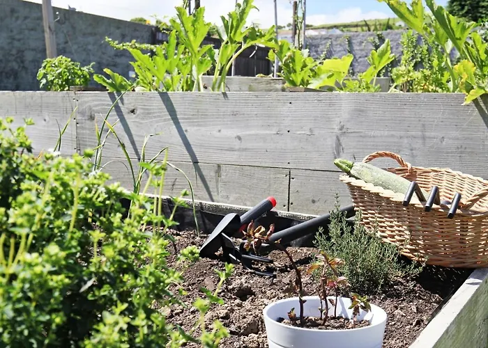 Casas Da Chamine Eco Country Casa de Campo